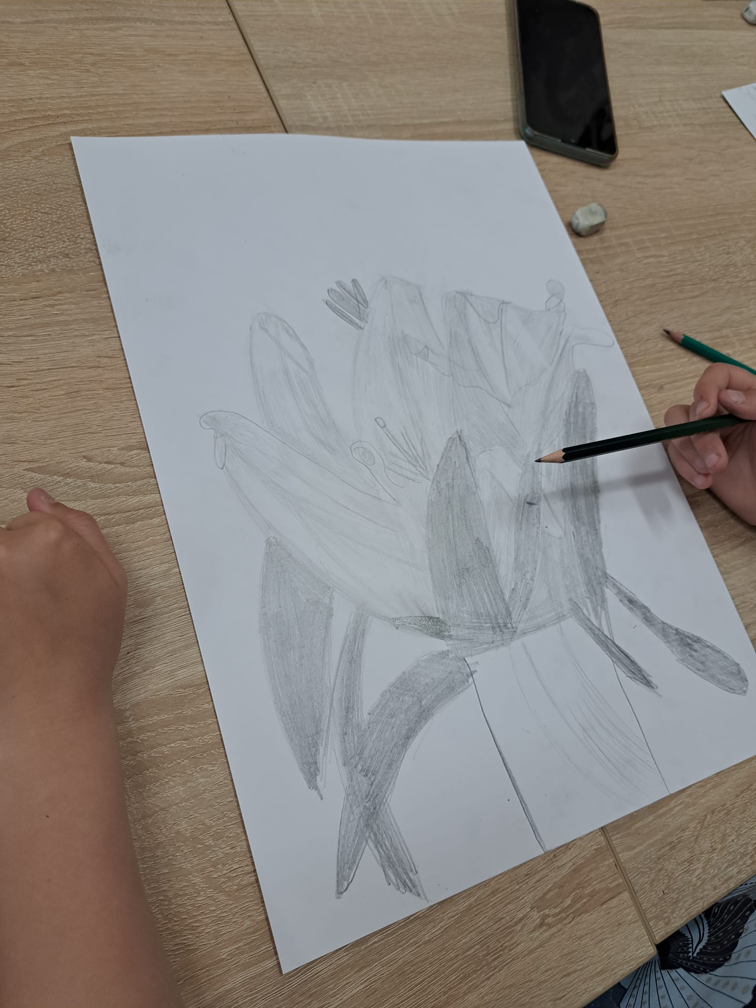 Zajęcia plastyczne - rysunek z natury